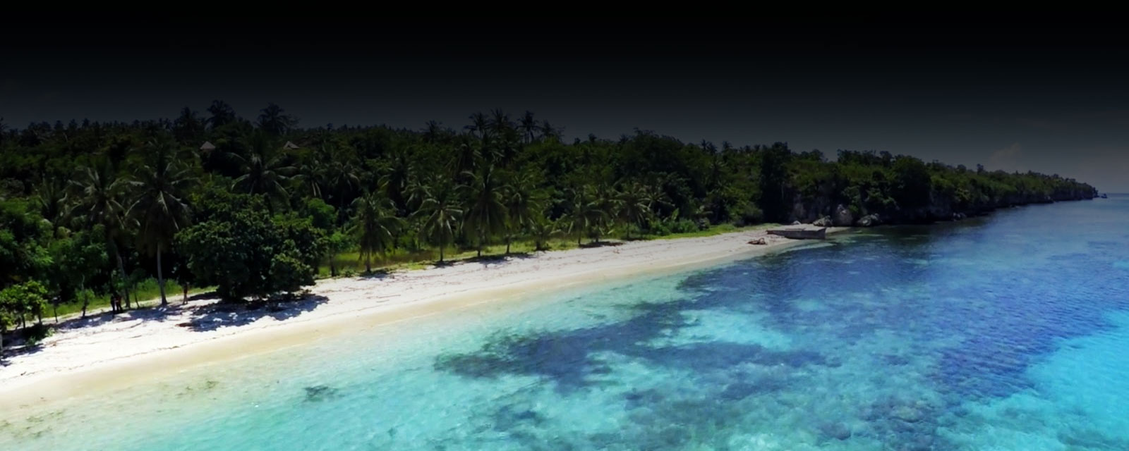 Plongée à Halmahera - Expedition Indonesia